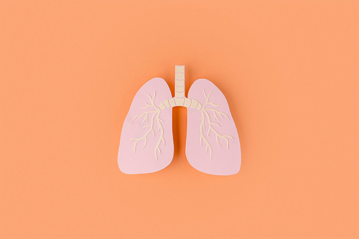 paper lungs on orange background