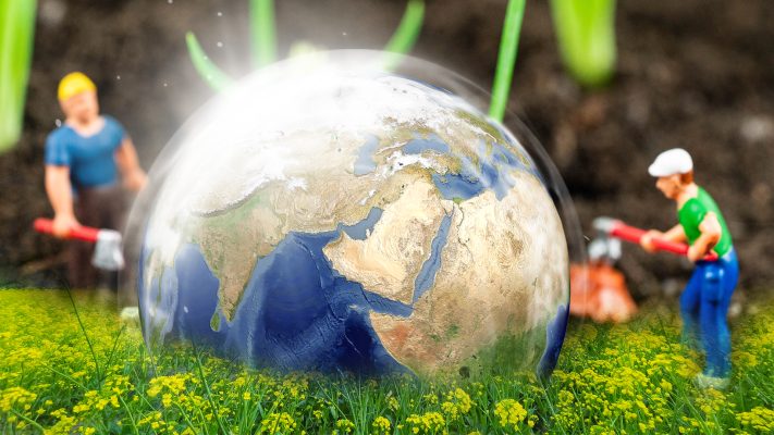 Earth Day 2026 and TCM wellness concept